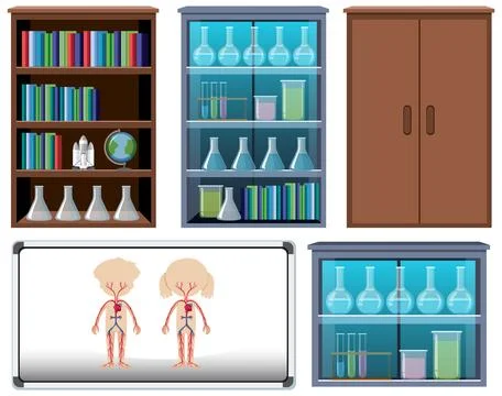 Set of anatomy element in the classroom background Stock Illustration