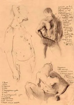 Set of anatomy human hand scull bones. Hand drawn pencil illustration. Isolat Stock Illustration