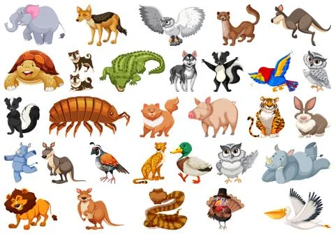 Set of animal character イラスト素材