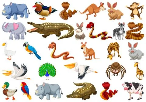 Set of animal character Illustrazione stock