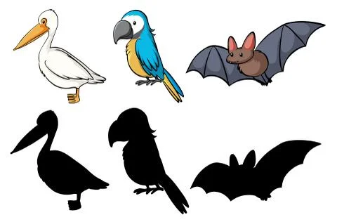 Set of animal in color and shadow Illustrazione stock