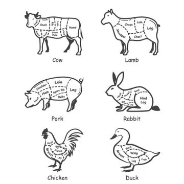 Set Of Animal Cuts Stockillustratie