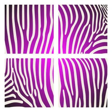 Set of animal pattern. Imitation print of skin of zebra. Black purple stripes Stock Illustration