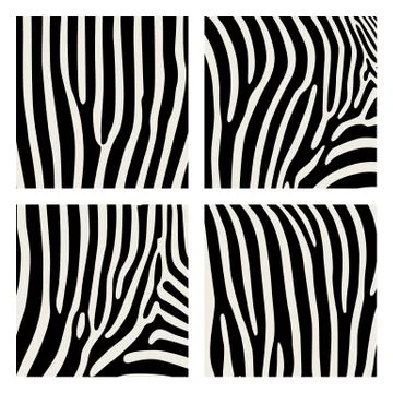 Set of animal pattern. Imitation print of skin of zebra. Black stripes on gra Stock Illustration