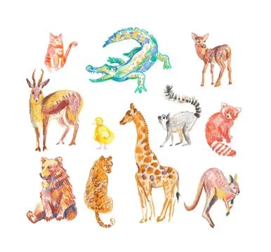 Set of animals drawn with crayons. Illustrations Stock Illustration