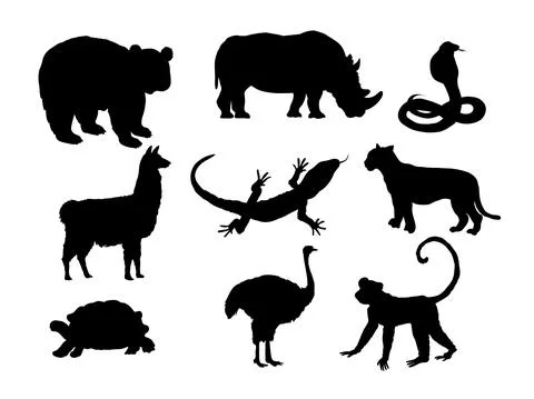Set of animals silhouette Lizard Llama Monkey Ostrich Panda Rhinoceros Snake  Stock Illustration
