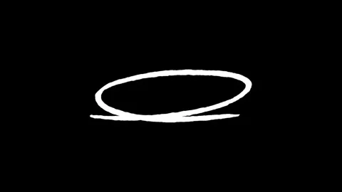 Set of Animated Hand Drawn Circles elements pack. Stock Footage 312437651