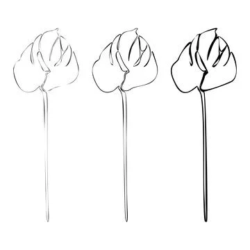 Set of Anthurium continuous line drawing. Botanical Coloring. Floral Line A.. Stock Illustration