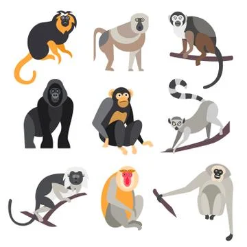 Set of Apes and Monkeys. Vector Illustration Stock Illustration