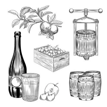 Set of apple cider. Harvest apple, wooden crate, press, barrel, glass and cid Stock Illustration