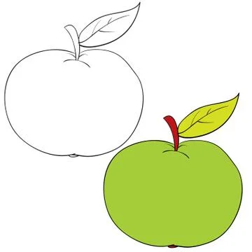 Set of apple drawn in black lines and painted, isolated object on a white 스톡 일러스트