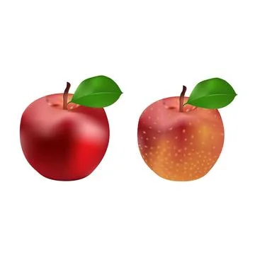 Set of apple fruit vector design illustration on a white background Stock Illustration
