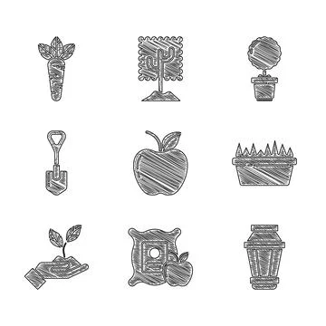 Set Apple, in the sack, Garden light lamp, Fresh grass rectangular, Plant hand Stock Illustration