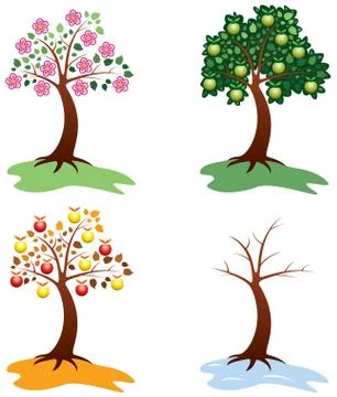 Set of apple trees Stock Illustration