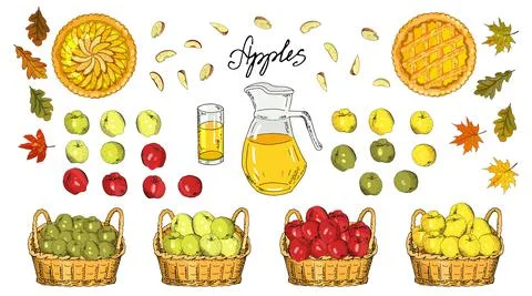Set of apples, apple slices, apple pies, apple juice jug, basket of harvest Stock Illustration