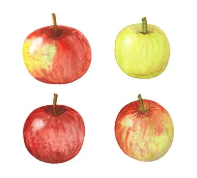 Set of apples Stock Illustration