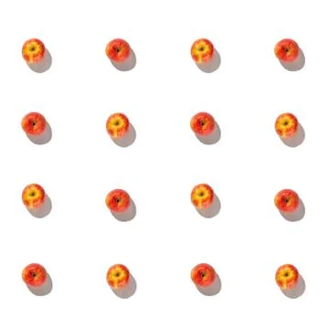 Set of apples on a white background isolate Stock Photos