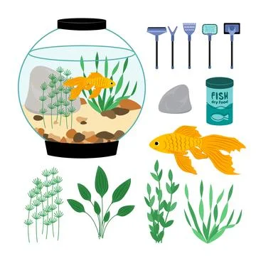 Set of a aquarium fish, goldfish, algae, dry food, cleaning tools. Flat, cartoon Illustrazione stock