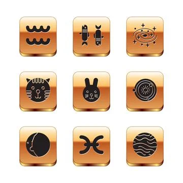 Set Aquarius zodiac, Eclipse of the sun, Pisces, Rabbit, Tiger, Milky way spiral Stock Illustration
