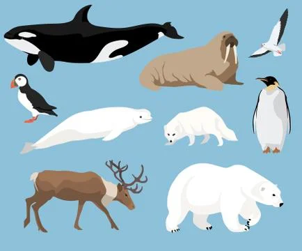 Set of arctic animals Stock Illustration