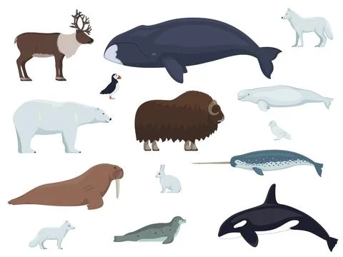 Set of arctic animals Stock Illustration