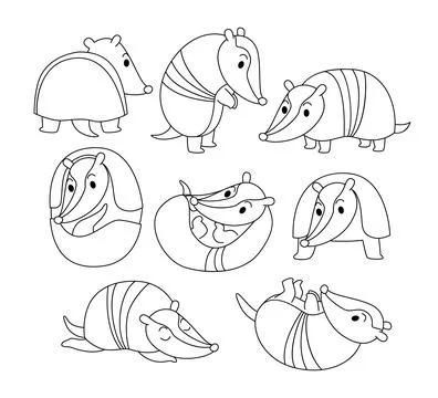 Set of Armadillo doodle collection, Armadillo outline coloring page book an.. Stock Illustration