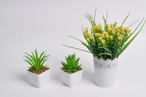 Set of artificial plants in pots on white background Stock Photos