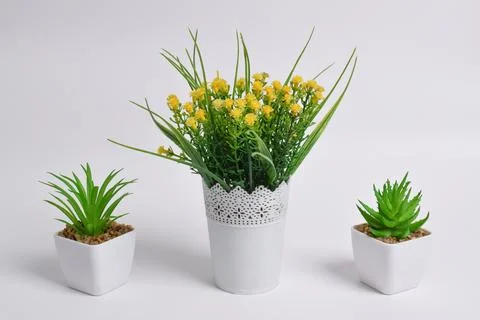 Set of artificial plants in pots on white background Stock Photos