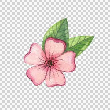 Set of Asian-inspired holiday elements. Asian culture and holiday design. Stock Illustration