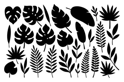 Set of assorted tropical leaves. Black silhouettes of monstera, palm, and banana Stock Illustration