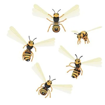 Set of attacking wasps. Stock Illustration