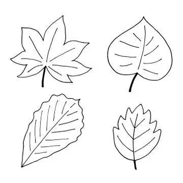 Set of autumn elements, hand drawn doodle style illustrations Stock Illustration