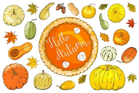 Set of autumn elements isolated on white background. Stock Illustration