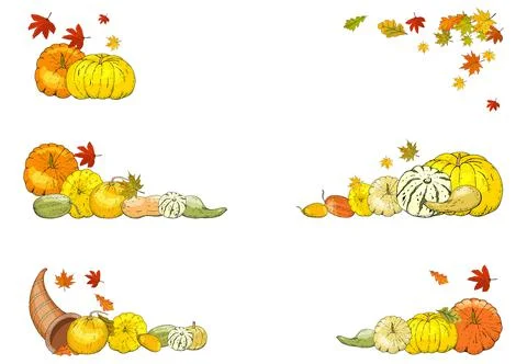 Set of autumn elements isolated on white background. Pumpkins, leaves Stock Illustration