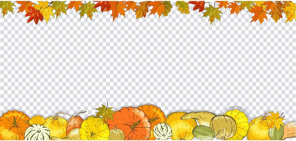 Set of autumn elements isolated on white background. Pumpkins, leaves, acorns Illustrazione stock
