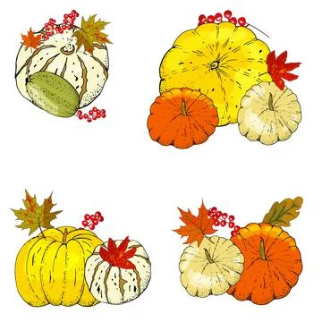 Set of autumn elements isolated on white background. Pumpkins, leaves Stock Illustration