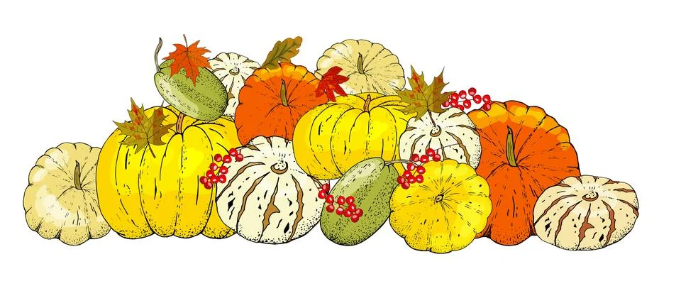 Set of autumn elements isolated on white background. Pumpkins, leaves Stockillustratie