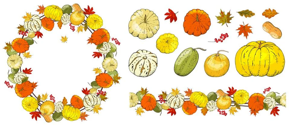 Set of autumn elements isolated on white background. Pumpkins, leaves Stock Illustration
