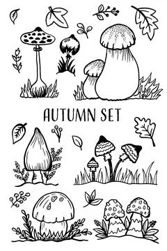Set of autumn elements leaves, berries and mushroom. Hello Autumn. Autumn Stock Illustration
