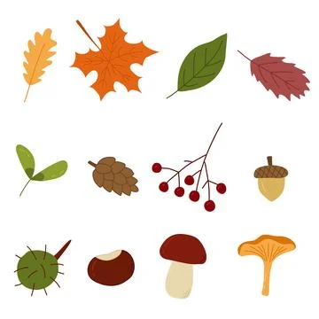 Set of autumn elements, leaves, berry, mushrooms, doodle style vector Illustrazione stock