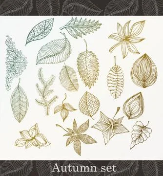 Set autumn leafs isolated on white background Stock Illustration