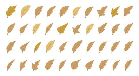 Set of autumn leaves Stock Illustration