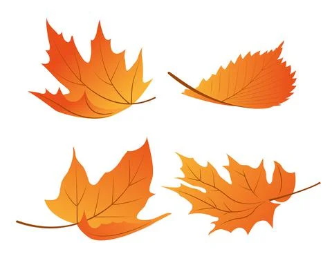 Set of autumn leaves Stock Illustration