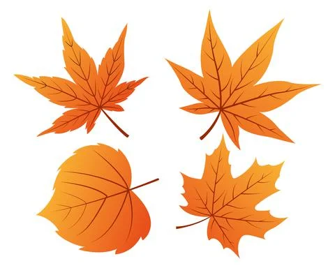 Set of autumn leaves Stock Illustration
