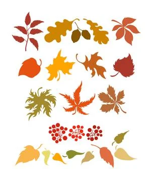 Set of autumn leaves silhouette vector on white background Stock Vector Stock Illustration