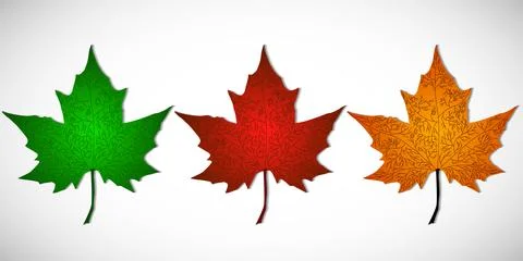Set of autumn maple leaves of different colors isolated on a white background Stock Illustration
