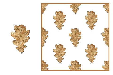 Set - autumn oak brown leaf isolated on white background and seamless pattern 스톡 일러스트