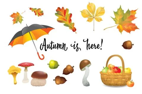 Set of autumn objects. Mushrooms, umbrella, apples and fall leaves. Vector il Stock Illustration