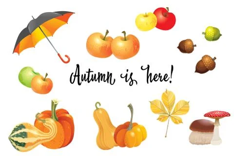 Set of autumn objects. Pumpkins different types, mushrooms, umbrella, apples  Stock Illustration