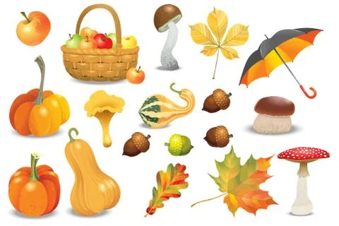 Set of autumn objects. Pumpkins different types, mushrooms, umbrella, apples  Stock Illustration